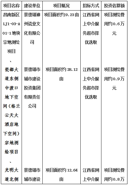 景德鎮(zhèn)市昌南新區(qū)LJ1-03-A01-1地塊、瓷都大道東側(cè)中渡口地下空間（格蘭云天大酒店地下空間）、光明大道北側(cè)利民路西側(cè)地下空間（青少年宮地下空間）、規(guī)劃二路北側(cè)地下空間地塊二（加速基地地下空間）、規(guī)劃二路北側(cè)地下空間地塊一（加速基地地下空間）、景德大道南側(cè)天寶橋西側(cè)地塊、景興大道東側(cè)如意路北側(cè)地下空間(社會公共服務(wù)