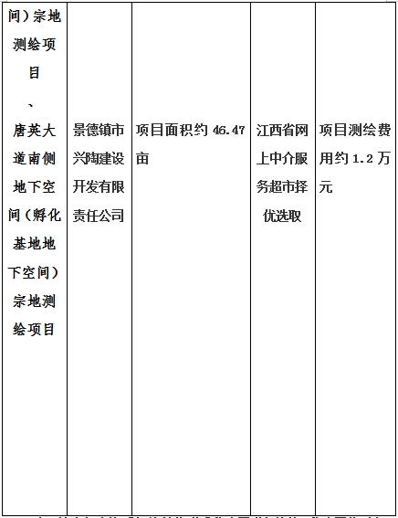 景德鎮(zhèn)市昌南新區(qū)LJ1-03-A01-1地塊、瓷都大道東側(cè)中渡口地下空間（格蘭云天大酒店地下空間）、光明大道北側(cè)利民路西側(cè)地下空間（青少年宮地下空間）、規(guī)劃二路北側(cè)地下空間地塊二（加速基地地下空間）、規(guī)劃二路北側(cè)地下空間地塊一（加速基地地下空間）、景德大道南側(cè)天寶橋西側(cè)地塊、景興大道東側(cè)如意路北側(cè)地下空間(社會公共服務(wù)