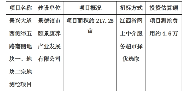 景興大道西側(cè)緯五路南側(cè)地塊一、地塊二宗地